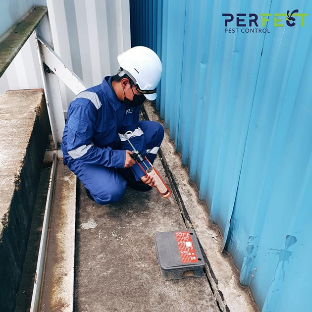 Pest control image 4